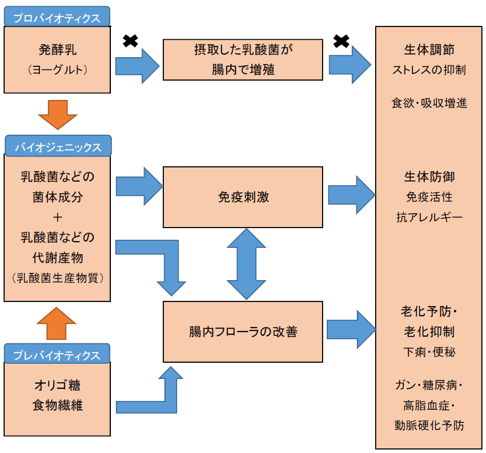 乳酸菌の新しいカタチグロリアス