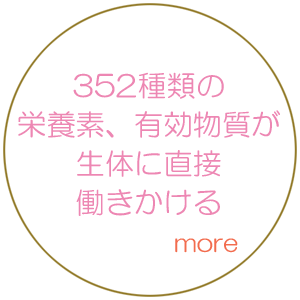 乳酸菌の新しいカタチグロリアス